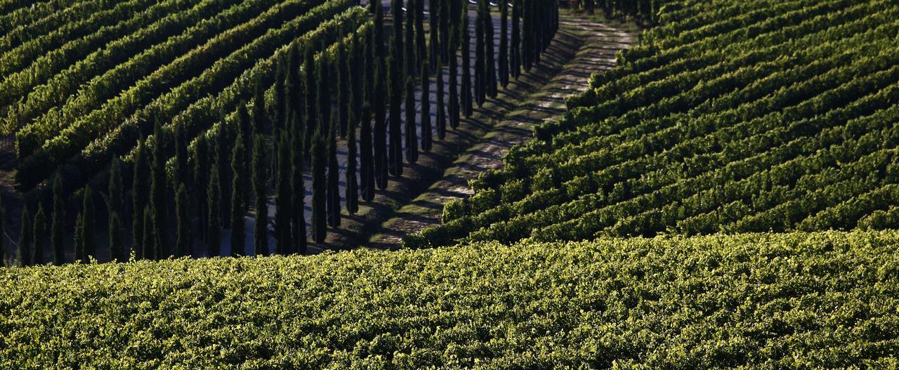 Poggio Al Casone Villa Crespina Luaran gambar